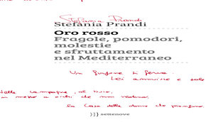 DIALOGO CON L'AUTORE