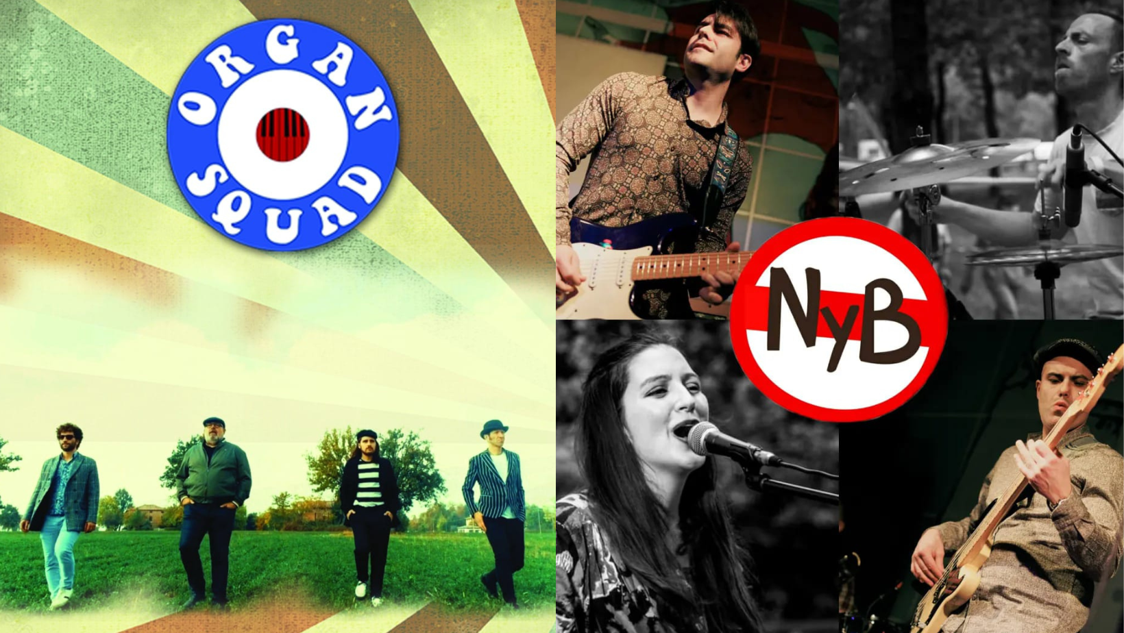 Organ Squad + Not Your Business LIVE