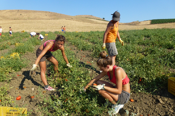 100 passi sì.... ma verso dove?