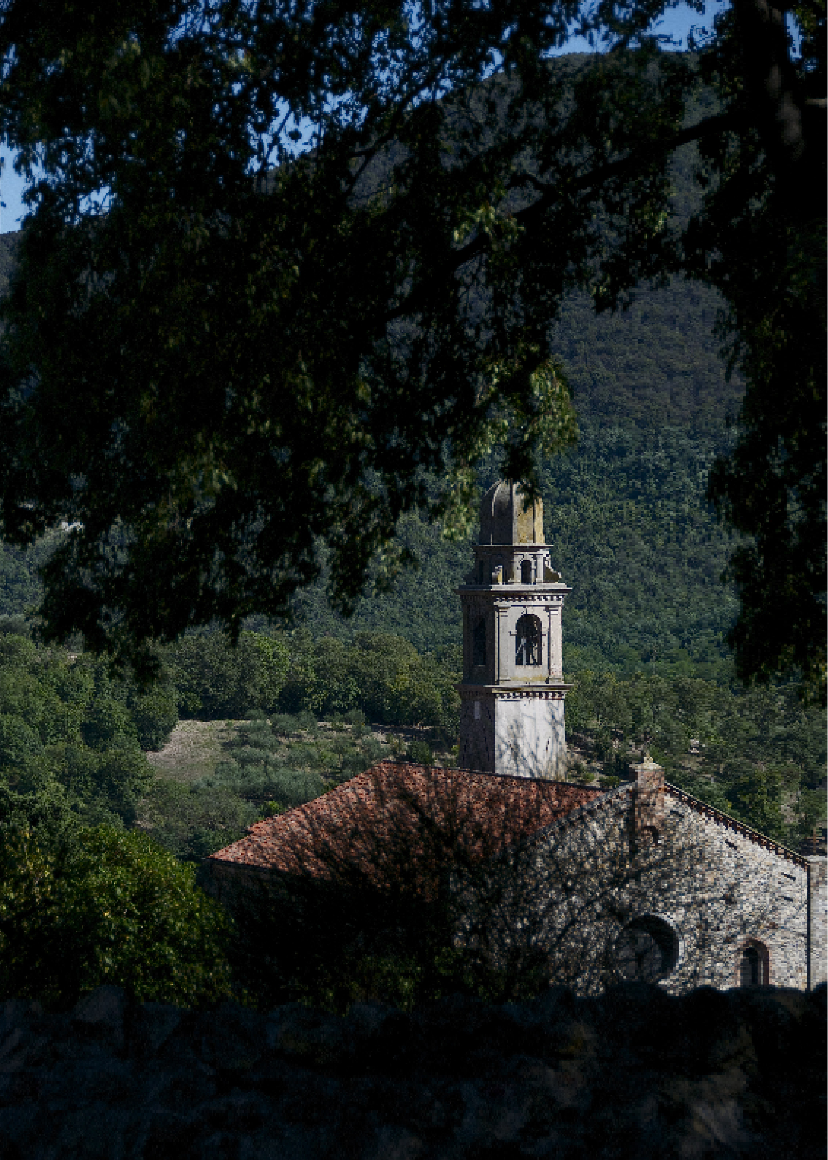 Allora sia buon viaggio...